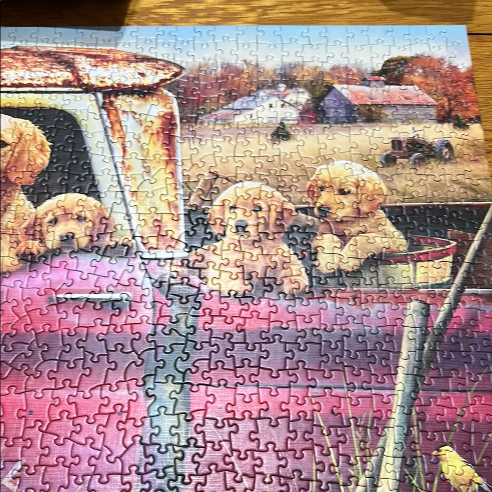 Cobble Hill Dogs in truck Puzzle - 1000 Pieces - Picture 3 of 9